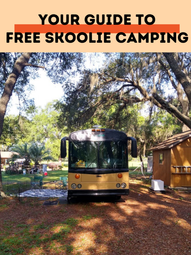 Your Guide to Free Skoolie Camping