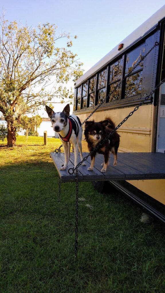 traveling with skoolie pets