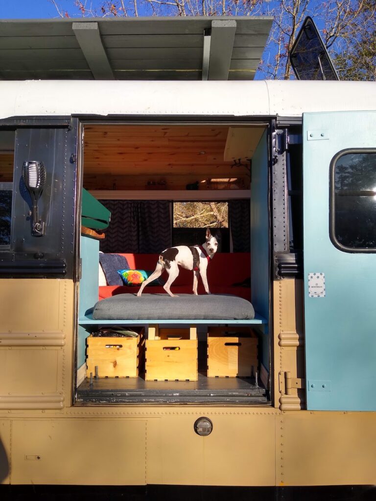 bandit shows of his skoolie den