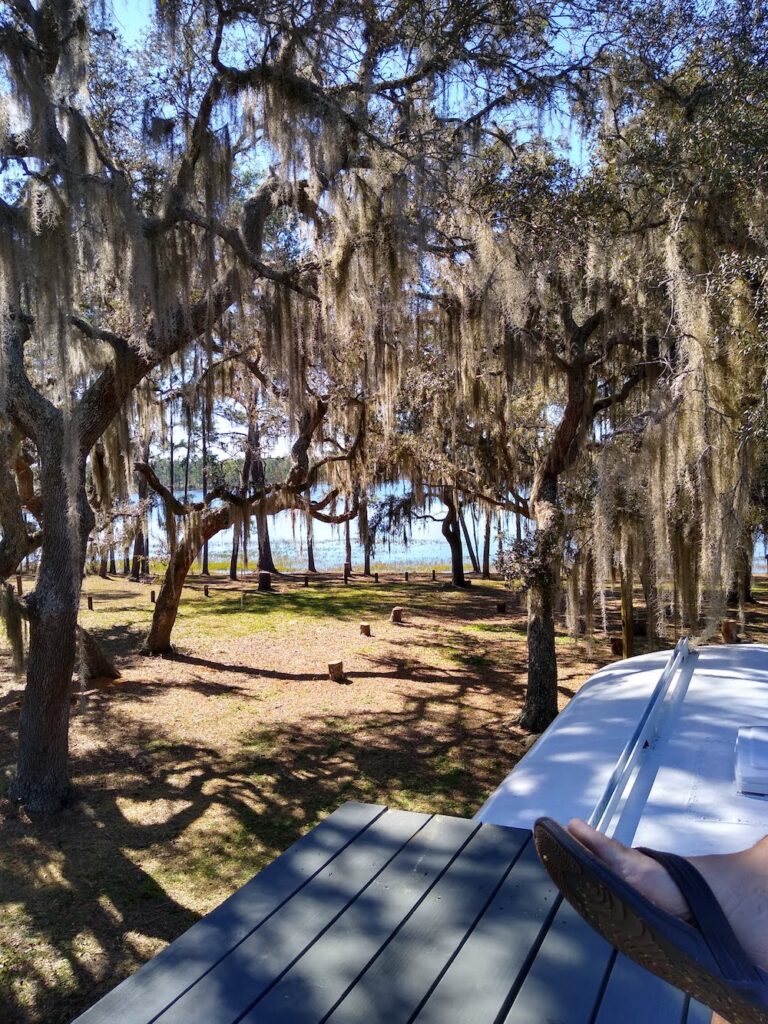 boondocking in a skoolie